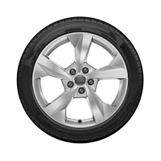 Audi-Winter-Rad-5-Arm-Dynamik-A3 S3-8Y