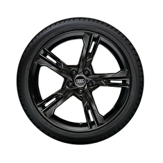 Audi-Winter-Rad-5-Arm-Ramus-Audi-A5-S5-F5