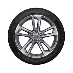 Audi-Sommer-Rad-5-Doppelspeichen-Audi-A4-8W