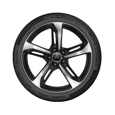 Audi-Sommer-Rad-5-Speichen-Blade-Audi-TT-FV