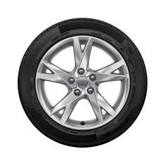 Audi-Sommer-Rad-5-Speichen-Y-Audi-A4-8W