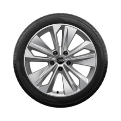 Audi Winterrad, 5-Doppelarm-Falx Audi Q6E