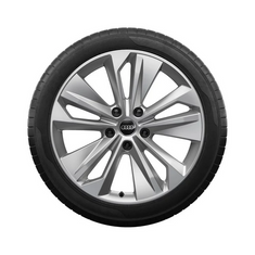 Audi Winterrad, 5-Doppelarm-Falx Audi Q6E