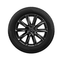 Audi Winter Rad, 10-Speichen-Lamina Audi Q4