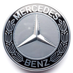 Stern mit Lorbeerkranz