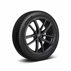 Rad Audi Sport, 5-Doppelspeichen mit RS-Schriftzug schwarz metallic, 8,5Jx19, Winterreifen 245/40 R19 98H XL, links