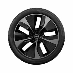 Rad Audi Sport, 5-Arm-Aero mit RS-Schriftzug schwarz metallic, glanzgedreht, abgedunkelt, 9,0Jx21, Reifen 255/45 R21 106W XL, vorn