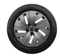 Rad, 5-Arm-Dynamik platingrau, 8,0Jx19, Winterreifen 225/55 R19 103H XL, vorn-2