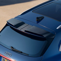 Dachkantenspoiler Carbon Q5 SQ5-1