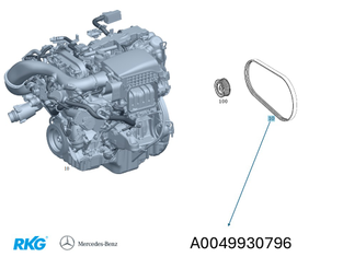 Keilrippenriemen *A0049930796* Original Mercedes-Benz-1