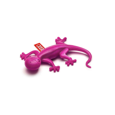 Duftgecko pink, blumig-süß