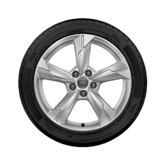 Rad, 5-Arm 8,0Jx18, Winterreifen 225/55 R18 102V XL, rechts