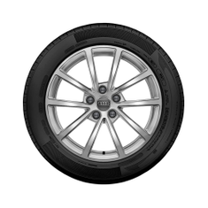 Rad, 10-Speichen 7,5Jx17, Winterreifen 225/60 R17 99H, rechts