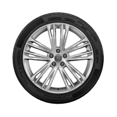 Rad, 5-Doppelspeichen-V 8,5Jx20, Winterreifen 255/40 R20 101W XL, rechts
