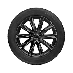 Rad, 10-Speichen-Lamina schwarz, 9,0Jx20, Winterreifen 255/50 R20 109H XL