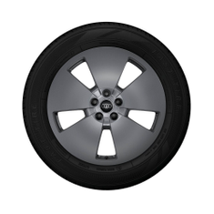 Rad, 5-Arm-Aero graphitgrau, 8,0Jx19, Winterreifen 255/55 R19 111H XL