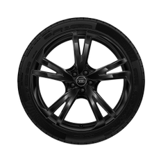 Rad, 5-Arm-Falx schwarz, 10,0Jx22, Winterreifen 285/35 R22 106W XL