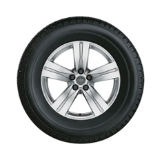 Rad, 5-Speichen 8,0Jx18, Winterreifen 255/60 R18 108H, rechts