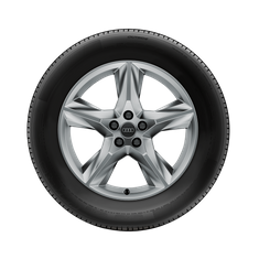 Rad, 5-Speichen-Stern 8,0Jx19, Winterreifen 255/55 R19 111H XL, links