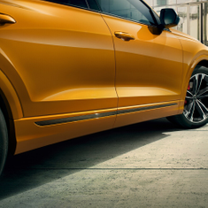 Zierleiste Carbon für hinten rechts