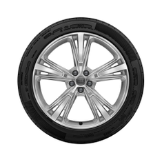 Rad, 5-Segmentspeichen galvanosilber metallic, 10,0Jx21, Winterreifen 285/45 R21 113V XL