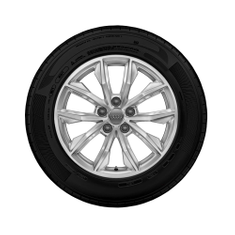 Rad, 10-Speichen 7,0Jx17, Winterreifen 235/65 R17 104H