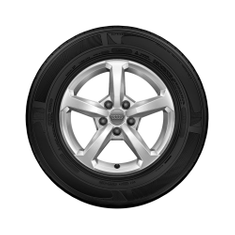 Rad, 5-Speichen 6,0Jx16, Winterreifen 205/60 R16 92H, links