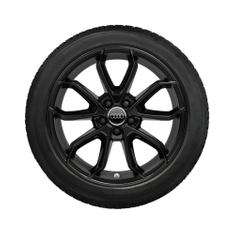 Rad, 5-Arm-Carabus, Reverse schwarz, 7,5Jx17, Winterreifen 215/45 R17 91W XL