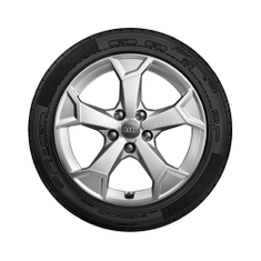 Rad, 5-Arm-Secare 6,5Jx17, Winterreifen 215/65 R17 99H
