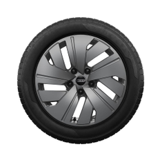 Rad, 5-Arm-Dynamik platingrau, 8,5Jx19, Winterreifen 245/50 R19 105H XL, hinten