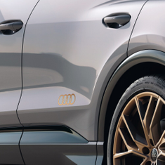 Dekorfolien Audi Ringe bronze matt