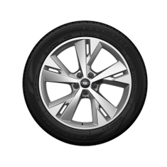 Rad, 5-Y-Speichen 9,0Jx20, Winterreifen 255/45 R20 101T, rechts hinten