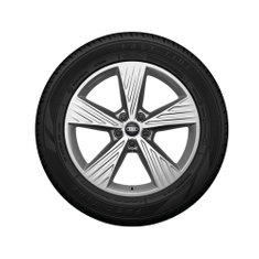 Rad, 5-Arm 8,0Jx19, Winterreifen 235/55 R19 101T, rechts vorn