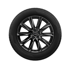 Rad, 10-Speichen-Lamina schwarz, 8,0Jx19, Winterreifen 235/55 R19 101T, links vorn