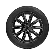 Rad, 10-Speichen-Lamina schwarz, 8,0Jx19, Winterreifen 255/50 R19 103T, links hinten
