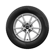 Rad, 5-Doppelspeichen 7,5Jx17, Winterreifen 215/55 R17 98H XL, rechts