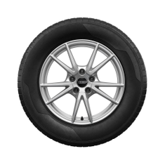 Rad, 5-Doppelspeichen 7,5Jx17, Winterreifen 215/55 R17 98H XL, links