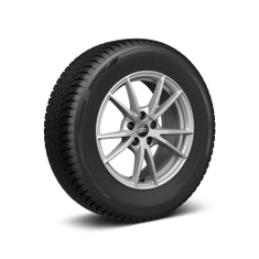 Rad, 5-Doppelspeichen 7,0Jx17, Winterreifen 215/70 R17 105H XL, rechts