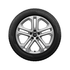Rad, 5-Doppelspeichen 7,0Jx19, Winterreifen 235/55 R19 105H XL, links