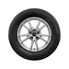 Rad, 5-Doppelspeichen 7,0Jx17, Winterreifen 215/70 R17 105H XL, links