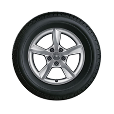 Rad, 5-Arm-Rotor 6,0Jx16, Winterreifen 205/55 R16 91H, rechts