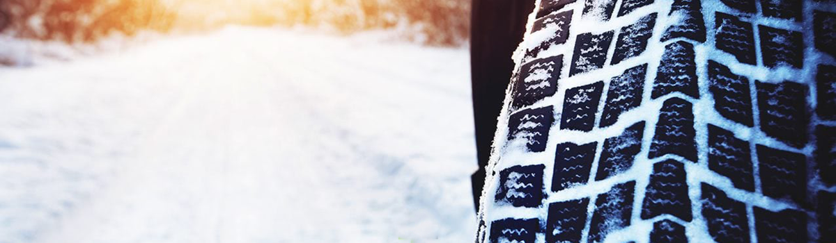 Bild Winter