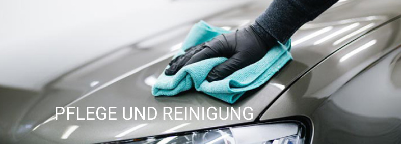 PflegeReinigung-L